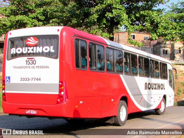 Rouxinol 1530 na cidade de Belo Horizonte, Minas Gerais, Brasil, por Adão Raimundo Marcelino. ID da foto: 7056952.