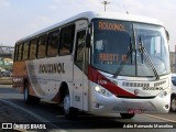 Rouxinol 1530 na cidade de Belo Horizonte, Minas Gerais, Brasil, por Adão Raimundo Marcelino. Número da foto: #7056942.