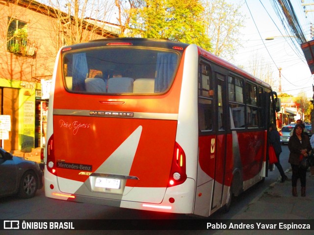 Peña Express 71 na cidade de Santa Cruz, Colchagua, Libertador General Bernardo O'Higgins, Chile, por Pablo Andres Yavar Espinoza. ID da foto: 7059996.