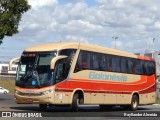 Auto Viação Goianésia 168003-8 na cidade de Brasília, Distrito Federal, Brasil, por Rayllander Almeida. Número da foto: #7058349.