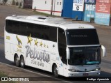 Peixoto Turismo 2020 na cidade de Conselheiro Lafaiete, Minas Gerais, Brasil, por Rodrigo  Aparecido. Número da foto: #7063135.