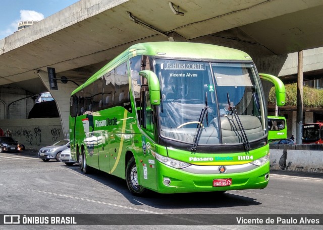 Pássaro Verde 11104 na cidade de Belo Horizonte, Minas Gerais, Brasil, por Vicente de Paulo Alves. ID da foto: 7069007.