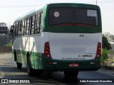 Rouxinol 1525 na cidade de Belo Horizonte, Minas Gerais, Brasil, por Adão Raimundo Marcelino. Número da foto: #7069216.