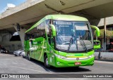 Pássaro Verde 11104 na cidade de Belo Horizonte, Minas Gerais, Brasil, por Vicente de Paulo Alves. Número da foto: #7069007.