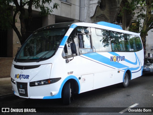 Nortur  na cidade de Buenos Aires, Argentina, por Osvaldo Born. Número da foto: #7071726.