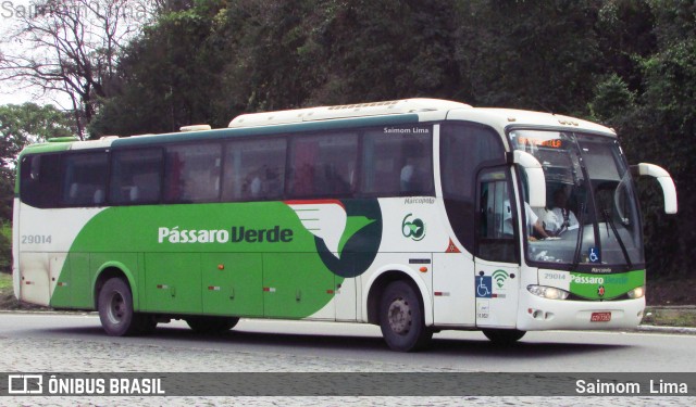 Pássaro Verde 29014 na cidade de Manhuaçu, Minas Gerais, Brasil, por Saimom  Lima. Número da foto: #7072464.