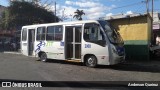 Rosa Turismo 2000 na cidade de Vitória da Conquista, Bahia, Brasil, por Anderson Queiroz. ID da foto: :id.