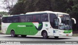 Pássaro Verde 29014 na cidade de Manhuaçu, Minas Gerais, Brasil, por Saimom  Lima. Número da foto: #7072464.