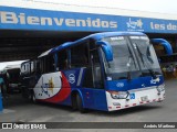Lumaca C-193 na cidade de Cartago, Cartago, Costa Rica, por Andrés Martínez Rodríguez. Número da foto: #7025805.
