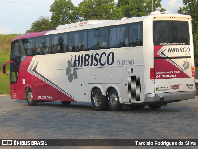 Hibisco Turismo 1000 na cidade de Ribeirão Vermelho, Minas Gerais, Brasil, por Tarcisio Rodrigues da Silva. ID da foto: 7075190.