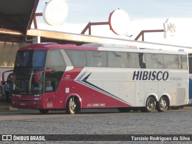 Hibisco Turismo 1000 na cidade de Ribeirão Vermelho, Minas Gerais, Brasil, por Tarcisio Rodrigues da Silva. ID da foto: 7075623.