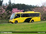 Grande Heroi 1710 na cidade de Atibaia, São Paulo, Brasil, por Felipe Carvalho. Número da foto: #7079598.