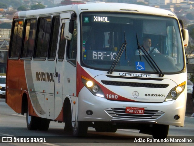 Rouxinol 1650 na cidade de Belo Horizonte, Minas Gerais, Brasil, por Adão Raimundo Marcelino. ID da foto: 7082802.