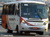 Rouxinol 1650 na cidade de Belo Horizonte, Minas Gerais, Brasil, por Adão Raimundo Marcelino. Número da foto: #7082802.
