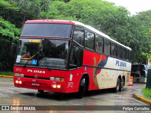 Pluma Conforto e Turismo 3972 na cidade de São Paulo, São Paulo, Brasil, por Felipe Carvalho. Número da foto: #7085857.
