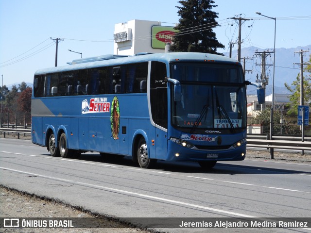Pullman Setter  na cidade de San Fernando, Colchagua, Libertador General Bernardo O'Higgins, Chile, por Jeremias Alejandro Medina Ramirez. Número da foto: #7084055.