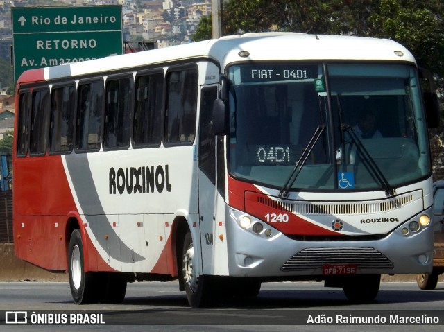 Rouxinol 1240 na cidade de Belo Horizonte, Minas Gerais, Brasil, por Adão Raimundo Marcelino. Número da foto: #7088916.