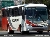 Rouxinol 1240 na cidade de Belo Horizonte, Minas Gerais, Brasil, por Adão Raimundo Marcelino. ID da foto: :id.