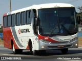 Rouxinol 323 na cidade de Belo Horizonte, Minas Gerais, Brasil, por Adão Raimundo Marcelino. Número da foto: #7088904.