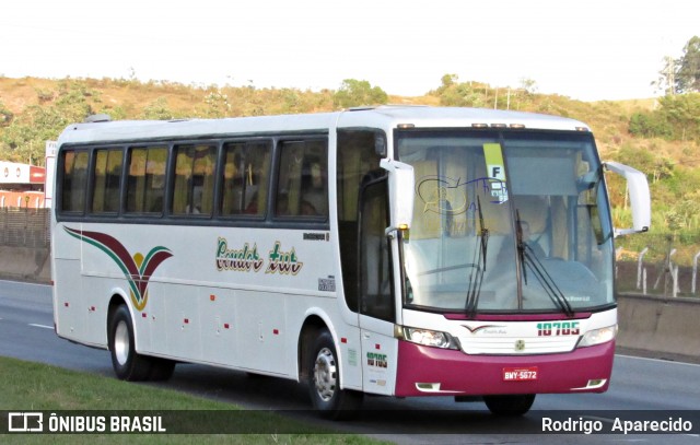 Condor Tur 10705 na cidade de Aparecida, São Paulo, Brasil, por Rodrigo  Aparecido. ID da foto: 7092736.