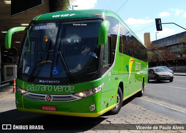 Pássaro Verde 15127 na cidade de Belo Horizonte, Minas Gerais, Brasil, por Vicente de Paulo Alves. ID da foto: 7092163.