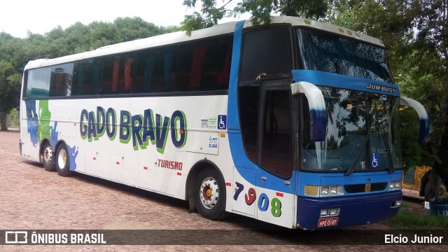 Gado Bravo Turismo 7908 na cidade de Barbalha, Ceará, Brasil, por Elcio Junior. Número da foto: #7093724.