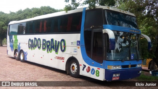 Gado Bravo Turismo 7908 na cidade de Barbalha, Ceará, Brasil, por Elcio Junior. ID da foto: 7093724.