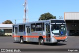 Grande Marília 1909 na cidade de Marília, São Paulo, Brasil, por Diego Leão. Número da foto: #7098924.
