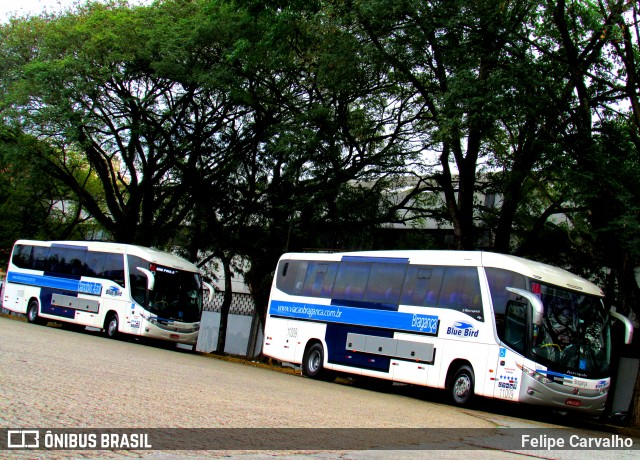 Auto Viação Bragança 11.009 na cidade de São Paulo, São Paulo, Brasil, por Felipe Carvalho. Número da foto: #7101935.