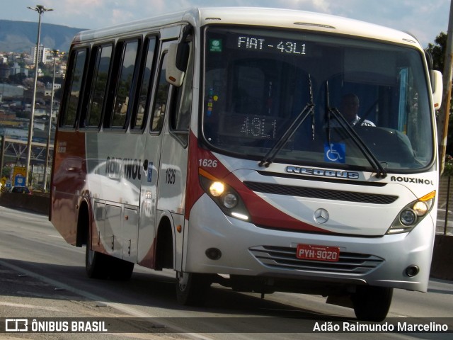 Rouxinol 1626 na cidade de Belo Horizonte, Minas Gerais, Brasil, por Adão Raimundo Marcelino. ID da foto: 7102385.