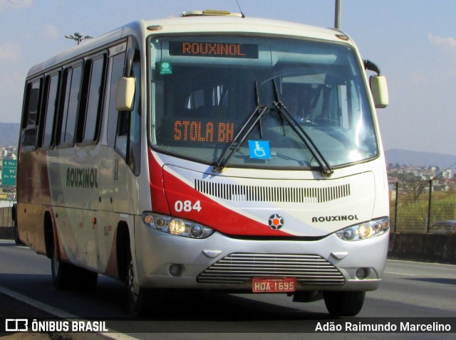 Rouxinol 084 na cidade de Belo Horizonte, Minas Gerais, Brasil, por Adão Raimundo Marcelino. ID da foto: 7029052.