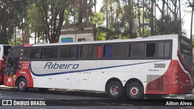 Ribeiro Turismo 3000 na cidade de Belo Horizonte, Minas Gerais, Brasil, por Ailton Alves. ID da foto: 7027104.