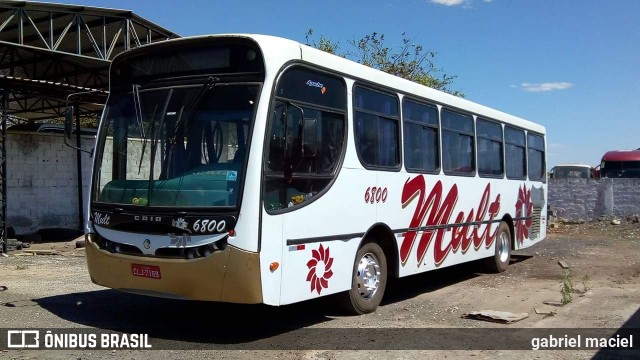 Mult Fretamento e Turismo 6800 na cidade de Holambra, São Paulo, Brasil, por gabriel maciel. ID da foto: 7103188.