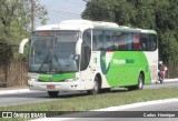 Pássaro Verde 29014 na cidade de Ipatinga, Minas Gerais, Brasil, por Carlos  Henrique. ID da foto: :id.