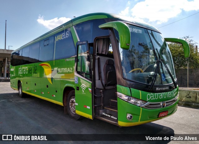 Pássaro Verde 15133 na cidade de Belo Horizonte, Minas Gerais, Brasil, por Vicente de Paulo Alves. Número da foto: #7030728.