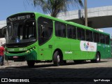 Viação Santa Edwiges 69142 na cidade de Belo Horizonte, Minas Gerais, Brasil, por Igor Policarpo. Número da foto: #:id.