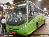 Pássaro Verde 15137 na cidade de Belo Horizonte, Minas Gerais, Brasil, por Hariel Bernades. Número da foto: #:id.