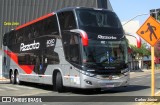 Rizzato Transporte e Turismo 8020 na cidade de Goiânia, Goiás, Brasil, por Carlos Júnior. Número da foto: #7031202.