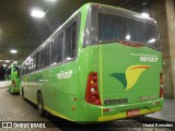 Pássaro Verde 15137 na cidade de Belo Horizonte, Minas Gerais, Brasil, por Hariel Bernades. Número da foto: #:id.