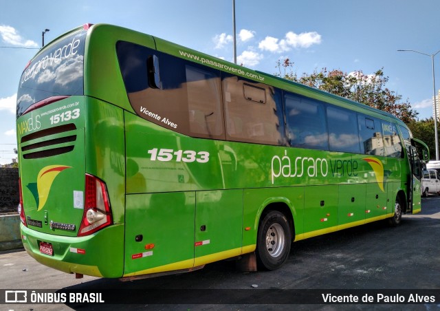 Pássaro Verde 15133 na cidade de Belo Horizonte, Minas Gerais, Brasil, por Vicente de Paulo Alves. Número da foto: #7032129.