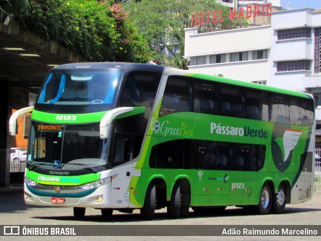 Pássaro Verde 12123 na cidade de Belo Horizonte, Minas Gerais, Brasil, por Adão Raimundo Marcelino. ID da foto: 7034408.