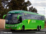 Pássaro Verde 19146 na cidade de Brasília, Distrito Federal, Brasil, por Rayllander Almeida. Número da foto: #7034161.