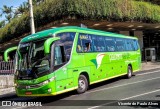 Pássaro Verde 15127 na cidade de Belo Horizonte, Minas Gerais, Brasil, por Vicente de Paulo Alves. Número da foto: #7033378.