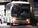 Pássaro Verde 26009 na cidade de Belo Horizonte, Minas Gerais, Brasil, por Guilherme Estevan. Número da foto: #:id.
