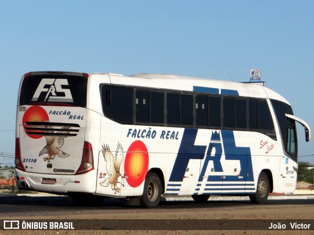 Falcão Real 21110 na cidade de Juazeiro, Bahia, Brasil, por João Victor. ID da foto: 7042902.