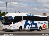Falcão Real 23120 na cidade de Juazeiro, Bahia, Brasil, por João Victor. Número da foto: #7042315.