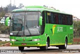 Pássaro Verde 29013 na cidade de Congonhas, Minas Gerais, Brasil, por Rodrigo  Aparecido. Número da foto: #7046361.
